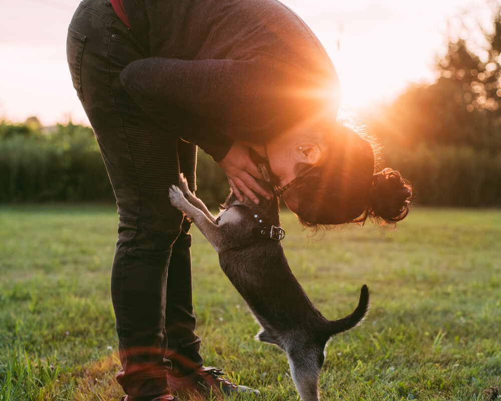 Nurturing Mental Health in the Workplace