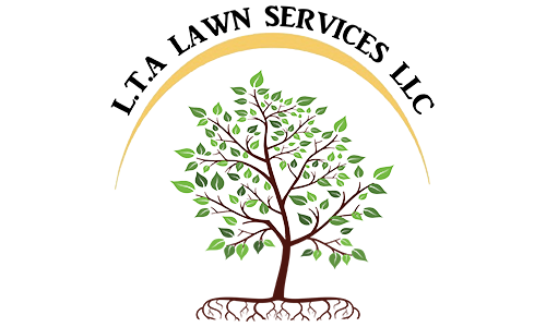 LTA PNG